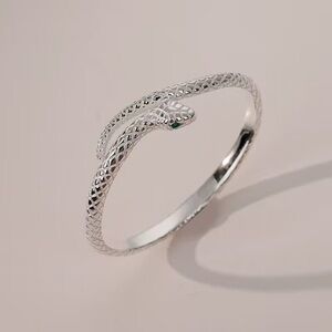 Stylish Silver Snake Reptile Bracelet
